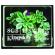KINGSTON Compact Flash Muistikortti 8GB ELITE 133x(CF/8GB-S2)